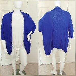 Blue Cardigan